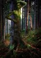 Märchen &copy; Frank Rother