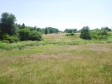 Ginsberger Heide &copy; Sabine Portig